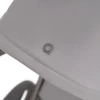 Коляска 2 в 1 Anex Flo (fl-06F) Frossy
