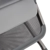 Коляска 2 в 1 Anex Flo (fl-06F) Frossy