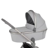 Коляска 2 в 1 Anex Flo (fl-06F) Frossy