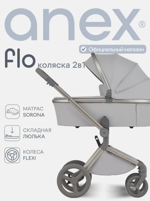 Коляска 2 в 1 Anex Flo (fl-06F) Frossy