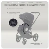 Коляска 2 в 1 Rant Garda RA114 Black