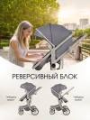 Коляска-трансформер Farfello Aimile Adventurer ADV-8 Лунный
