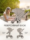 Коляска-трансформер Farfello Aimile Adventurer ADV-6 Фисташковый