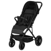 Коляска прогулучная Indigo Delta Plus черный