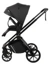 Коляска 3 в 1 Indigo Sting черный