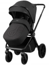 Коляска 2 в 1 Indigo Sting черный