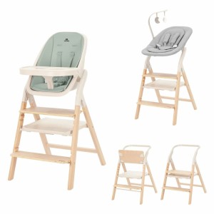 Стул для кормления Carrello Ergo CRL-16701 Elora Green