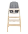 Стул для кормления Carrello Ergo CRL-16701 Carbon Grey