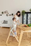 Стул для кормления Carrello Ergo CRL-16701 Carbon Grey