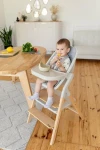 Стул для кормления Carrello Ergo CRL-16701 Carbon Grey