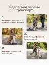 Беговел-трансформер Happy Baby Pingi brown