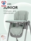 Стул для кормления Carrello Junior T-1412 Dark Green