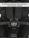 Велоколяска Pituso Leve Pro Plus 2026 с сумкой Black/Black