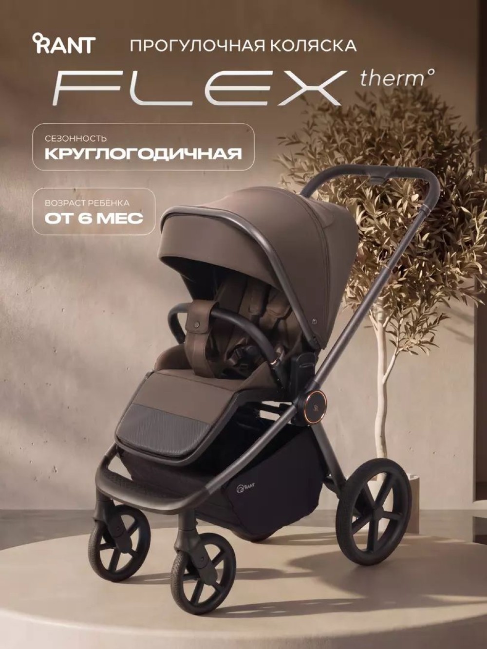 Коляска прогулочная Rant Flex Color RA118 Shine Brown
