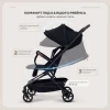 Коляска прогулочная Rant Avion Carbon RA407 Black