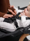 Стул для кормления Amarobaby Winnie 3 в 1 черный