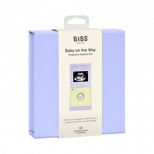 Подарочный набор «Baby on the Way»: латексная пустышка BIBS Colour, 0+ мес.