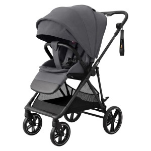 Коляска прогулочная Carrello Extra CRL- 5532 Chrome Grey