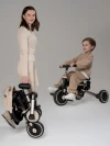Велоколяска Amarobaby MultiRide черный