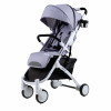 Коляска прогулочная BabyZz D200 серый на б/р