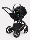 Автокресло Rant Perla B006 0+ (0-13 кг) Black