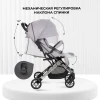 Kоляска прогулочная Farfello Comfy Go Comfort Chrome Greige Black Chrome