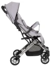 Kоляска прогулочная Farfello Comfy Go Comfort Chrome Greige Black Chrome