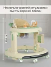Ходунки Pituso Мельница чудес Green