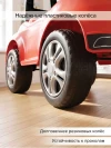Каталка Pituso Rollz 53*23*34 см Red