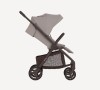 Коляска прогулочная Anex Ride (RD-01) Chrome