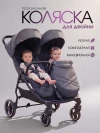 Коляска для двойни Farfello Max Gray