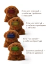 Интерактивная игрушка Happy Baby Clinic Zoo brown